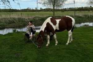 哈弗茨妻子社媒曬視頻+發(fā)文，悼念去世的愛馬：無比思念你