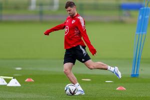 獨立報：威爾士隊長本-戴維斯腿筋受傷，無緣世預賽最后兩場比賽