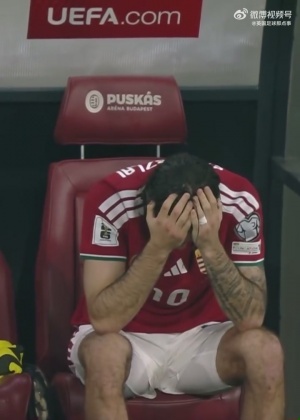 世界杯夢(mèng)碎??遭愛(ài)爾蘭絕殺，匈牙利隊(duì)長(zhǎng)索博斯洛伊賽后痛哭