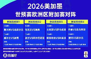 鏡報(bào)：愛爾蘭僅獲不到1000張世預(yù)賽附加賽門票，賽前機(jī)票售罄