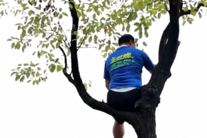 湘超聯(lián)賽推出“掛票”，球迷可坐在樹上看球但禁止“自掛東南枝”