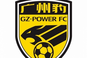 廣州豹官方：個別球迷在看臺的違法行為，公安機關已進行依法處理