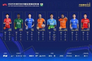 中超官方11月最佳候選：瓦科、吳曦、法比奧、王燊超在列