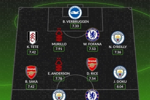 whoscored英超11月最佳陣：安德森、多庫(kù)領(lǐng)銜，哈蘭德、賴斯在列