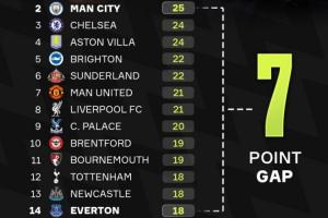 一場天堂一場地獄??賽季已過三分之一，英超第2與第14只差7分