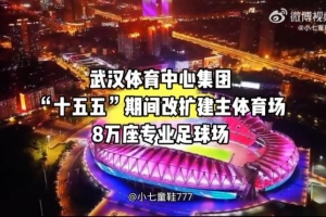 博主：武漢體育中心將改建成8萬座專業(yè)球場