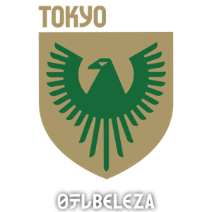 故鄉(xiāng)女足