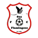 莫魯普爾流浪者隊