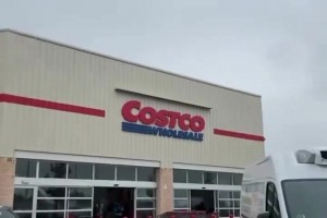 德佩在自家院子養(yǎng)了五條大型犬啊！這看著像杜賓犬！