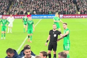 愛爾蘭主帥：C羅下場時對我說是因為我對裁判施壓