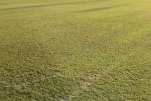 不甚理想??！實(shí)拍：國(guó)安遠(yuǎn)征河內(nèi)公安現(xiàn)場(chǎng)場(chǎng)地情況