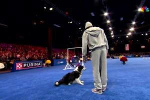 還有這種才藝？馬克西受邀參加訓(xùn)狗競(jìng)賽！小狗好像不太配合啊??